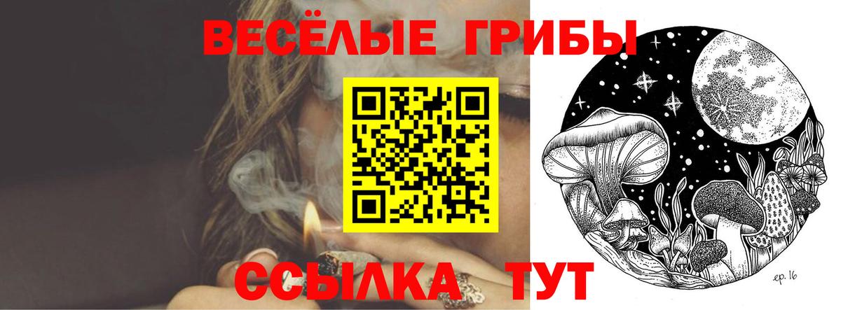 Псилоцибиновые грибы мицелий Кимовск