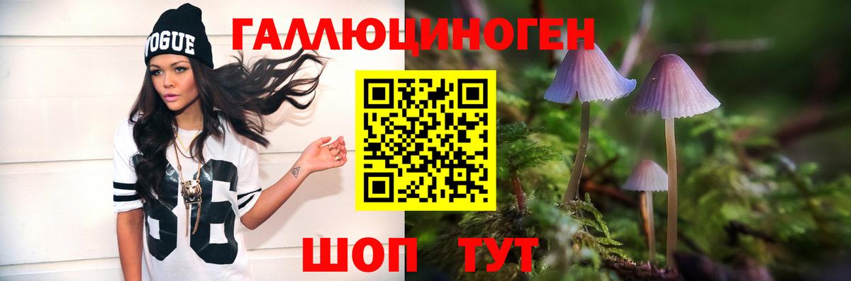 Кимовск  Псилоцибиновые грибы прущие грибы  Вход с VPN 